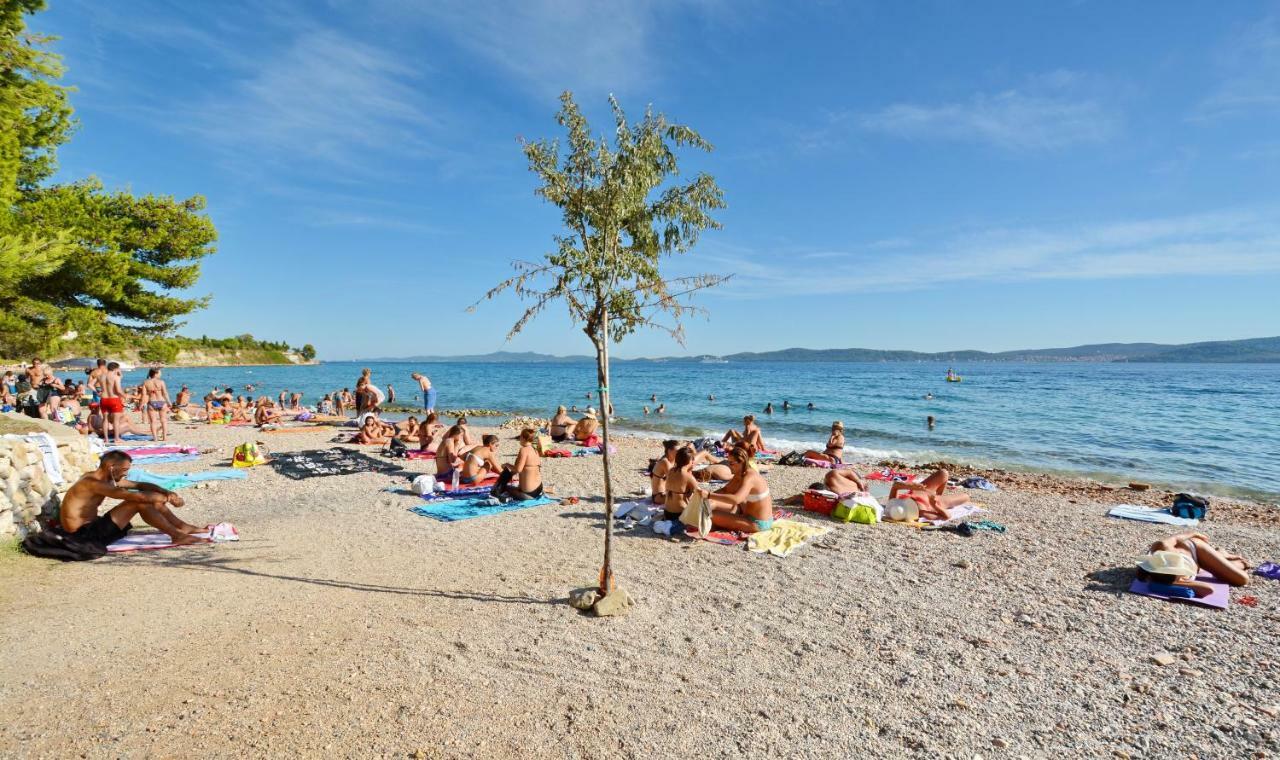 Apartman Olive Garden Zadar Bagian luar foto